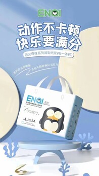 恩奇紙尿褲公司簡介