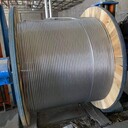 石家莊新樂電力魚塘用鋁包鋼絞線供應商