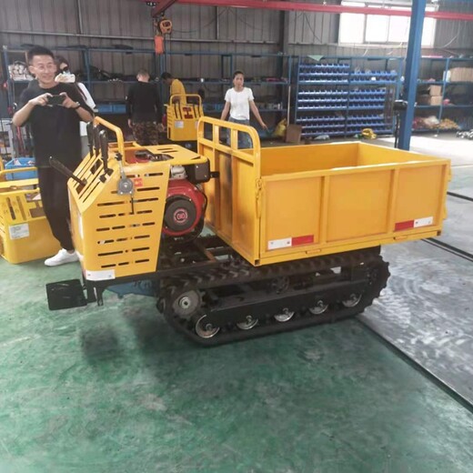 爬山虎履帶運輸車全地形履帶運輸車工程農(nóng)用運輸車