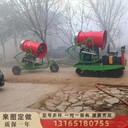 新款滑雪場(chǎng)人工造雪機(jī)全自動(dòng)戲雪樂園制雪機(jī)室外搖擺控雪景噴雪