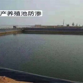 土工膜防滲膜多少錢一個平方？