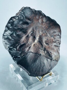 隴南周邊哪里收購古錢幣—快速現金變現