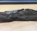 黑龙江贝壳化石私人老板收购电话—各类陨石收购多少钱一克图片
