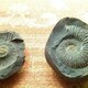 發發助手