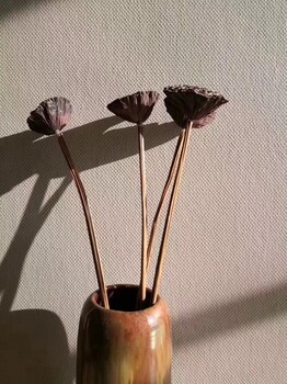 綠芙萊墻基布海吉布植物纖維布藝術(shù)漆全國(guó)批發(fā)零售