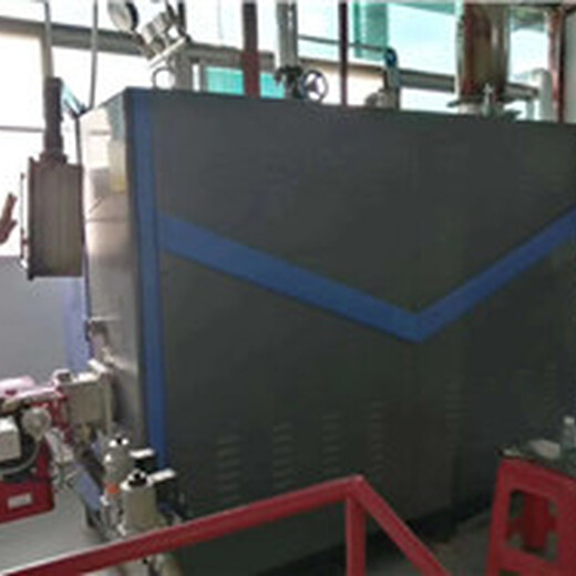 燃油蒸汽发生器厂家生产-上门安装芜湖