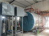 安徽六安生物质蒸汽锅炉设计方案