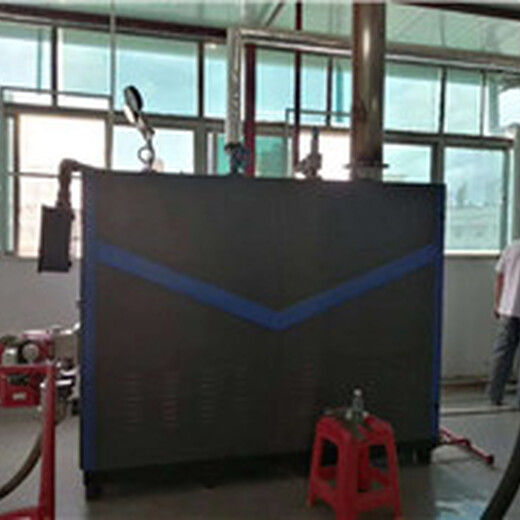 上海卢湾生物质蒸汽锅炉加工制造