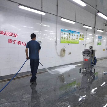 供應(yīng)食品工廠泡沫機(jī)FC7190I泡沫清洗機(jī)食品車間清洗設(shè)備