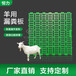 羊床塑料漏粪板羊场接粪板漏粪板养殖设备畜牧塑料地板