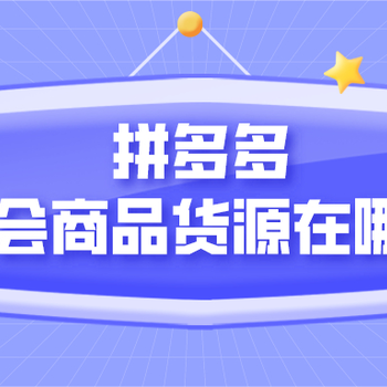 拼多多无货源店群开网店，拼多多运营方案加盟，工作室创业找项目