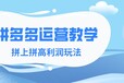 拼多多店群软软件全国代理拼上拼淘上拼抖上拼群控上货软件代理