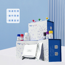 小鼠絲氨酸棕櫚酰轉(zhuǎn)移酶長鏈堿性亞基2(SPTLC2)科研試劑盒