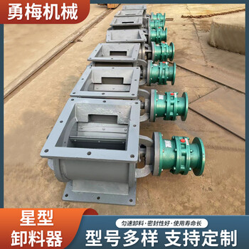 性能優(yōu)良電動(dòng)星型旋轉(zhuǎn)放料閥鏈條式星型卸料器