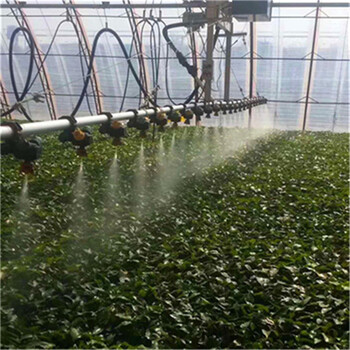 航迪溫室噴灌機(jī)_變軌噴灌機(jī)價格_噴灌機(jī)材質(zhì)_河北苗床廠家