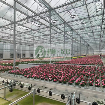 航迪全自動化物流苗床系統(tǒng)對于溫室養(yǎng)花育苗的好處？