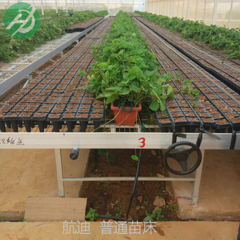 苗床供應(yīng)商航迪苗床生產(chǎn)各規(guī)格移動(dòng)苗床