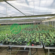 移動苗床潮汐苗床航迪品牌均可來尺定制圖片