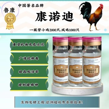 雞軟脖子病小雞脖子扭曲轉(zhuǎn)彎怎么治療-雞新城疫癥狀