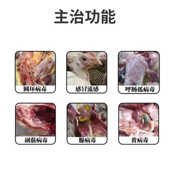 口服蛋黄抗体粉鲁康联抗全面抗病毒不得病毒病