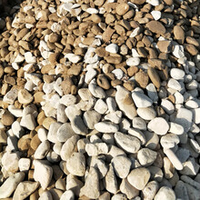 浙江园林景观石天然鹅卵石水冲石铺路石