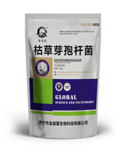 枯草芽孢桿菌圖片