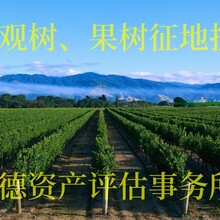 衢州拆遷評估公司，養殖場拆遷補償評估，養豬場拆遷評估