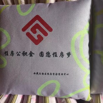 平紋桃皮絨滌綸桌布抱枕西安廣告靠墊定做抱枕被設(shè)計(jì)印字