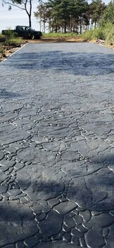 廣西梧州壓花地坪模具-壓模壓花地坪-生態(tài)透水地坪