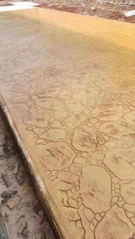 來賓壓花壓印地坪彩色透水混凝土路面壓花地坪