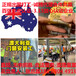 陇南国际出国劳务公司名单-年薪40万-新西兰食品厂