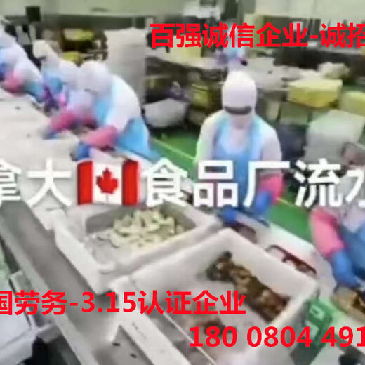 河北石家庄出国劳务正规输出公司德国－稳定项目－招募食堂厨师面点师