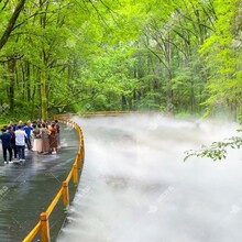 景区雾森造景