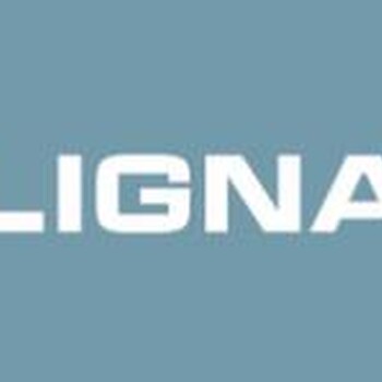 2023年德國漢諾威木工機械展（LIGNA）
