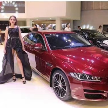 二十屆上海汽車工業(yè)展覽會