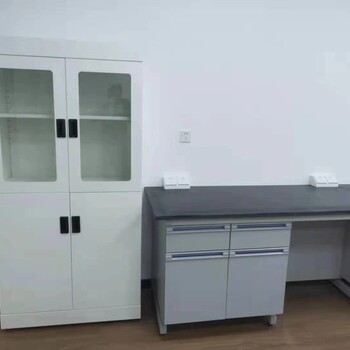 江苏厂家新实验室家具中央台通风柜批发-全钢器皿柜