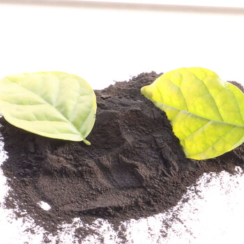 常州粉狀木質活性炭生產廠家