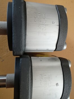 AZPF-10-004RQR20MB德國博世力士樂齒輪泵，型號參數