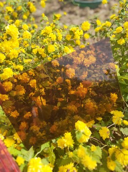 茶色湖藍PC實心板淄博耐力板透明阻燃板