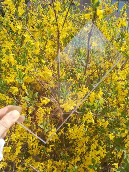 茶色湖藍PC實心板淄博耐力板透明阻燃板