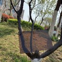 高透明PC板實心阻燃板濟寧耐力板廠家生產質量