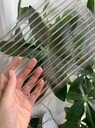 棗莊薛城pc陽(yáng)光板透光溫室大棚頂篷遮陽(yáng)棚防紫外線中空板廠家