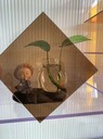 煙臺(tái)棲霞PC耐力板透明加厚實(shí)心板停車(chē)棚采光板聚碳酸酯耐力板廠家