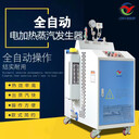 全自動變頻電磁感應(yīng)節(jié)能環(huán)保蒸汽發(fā)生器烘干熨燙電加熱鍋爐