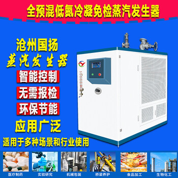 燃气蒸汽锅炉电加热蒸汽发生器生物质蒸汽发生器沧州国扬厂家供应