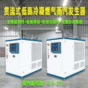 滄州國揚(yáng)工業(yè)用蒸汽發(fā)生器商用全自動天然氣蒸汽鍋爐節(jié)能環(huán)保