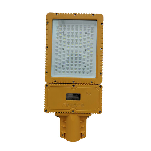 RLBF2011防爆泛光燈80W路燈石油化工場所防腐白光150W