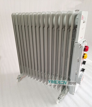 BDR-2.5KW3KW2KW工業(yè)防爆電暖氣