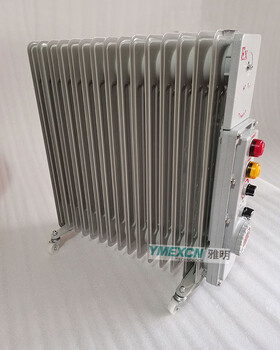 BDR-2.5KW3KW2KW工業(yè)防爆電暖氣