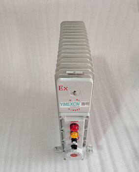 BDR-2.5KW3KW2KW工業(yè)防爆電暖氣